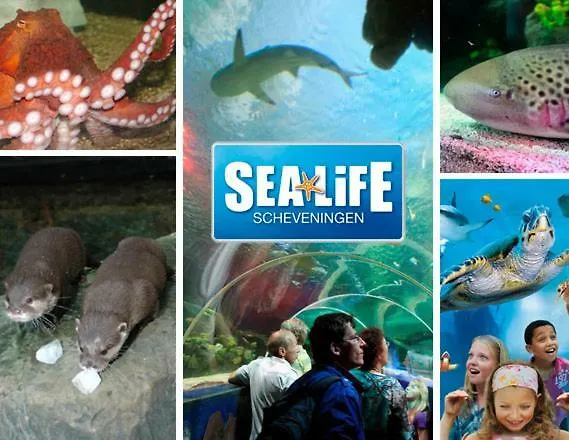 Kijkduinvilla Гаага